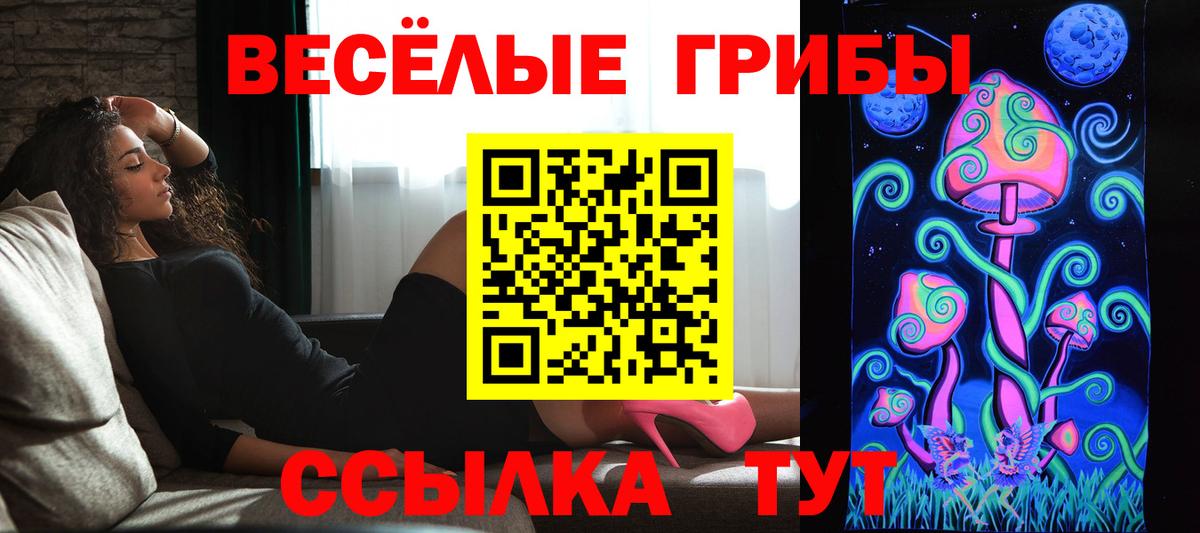 Галлюциногенные грибы MAGIC MUSHROOMS Карачаевск