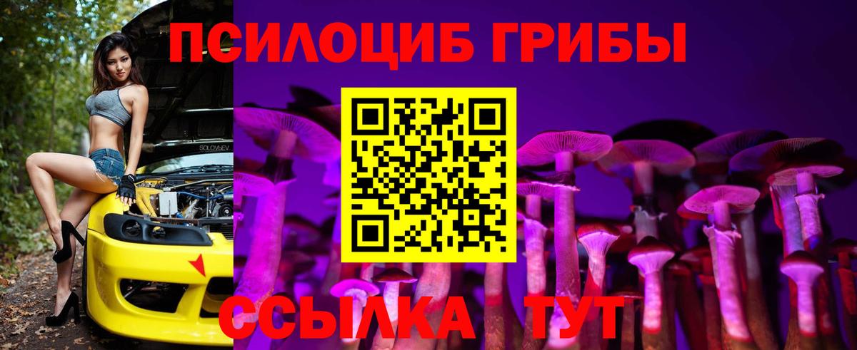 Галлюциногенные грибы Psilocybine cubensis  Псилоцибиновые грибы Psilocybine cubensis  Карачаевск  Вход с VPN 