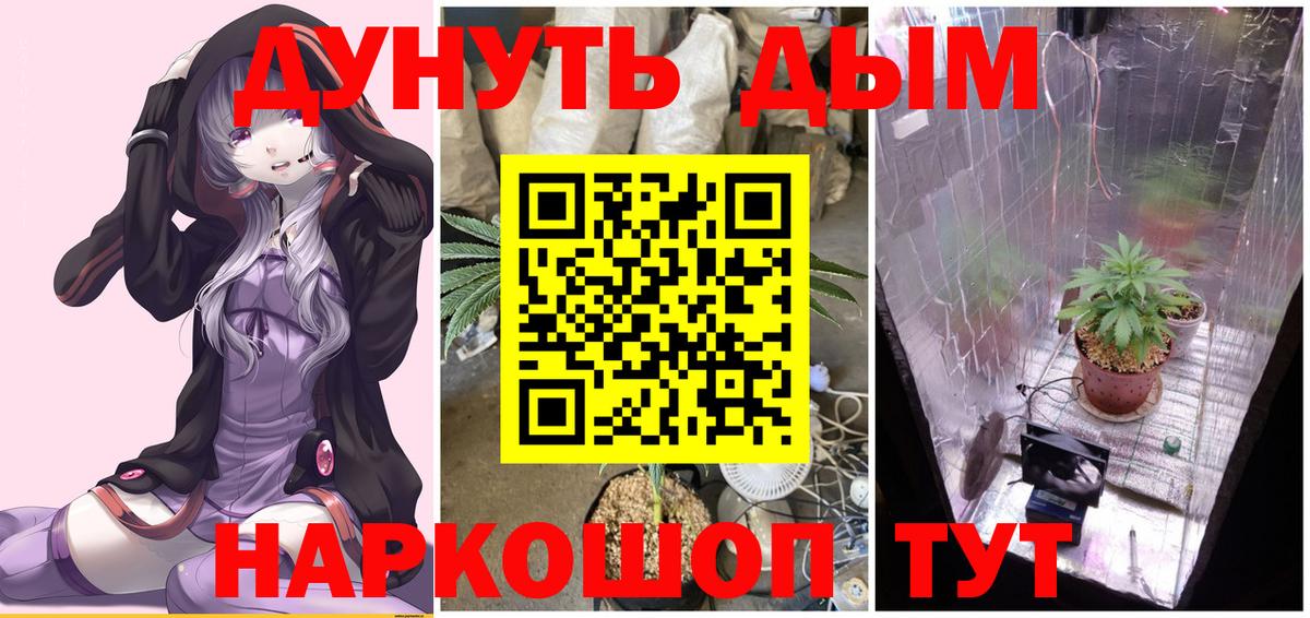 Бошки Шишки White Widow  Каннабис AK-47  Карачаевск  Вход с VPN  МАРИХУАНА MAZAR 